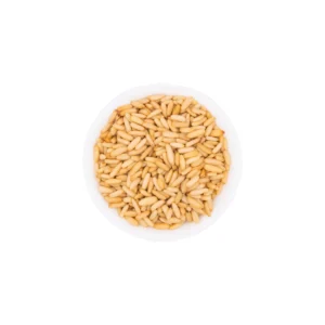 import placeholder for 7087